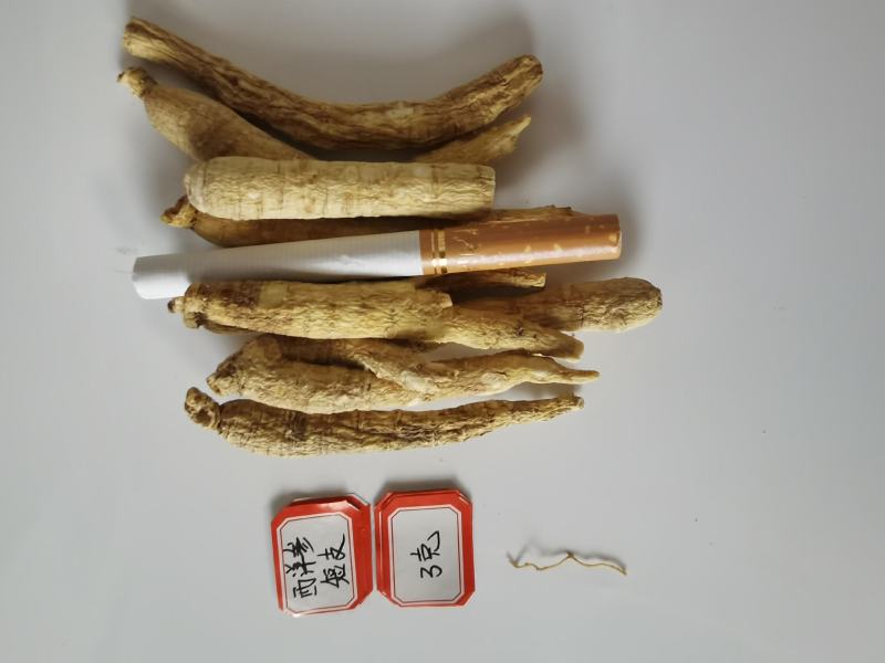 人参长白山林下西洋参6年西洋参条花旗参条泡水煲汤打粉