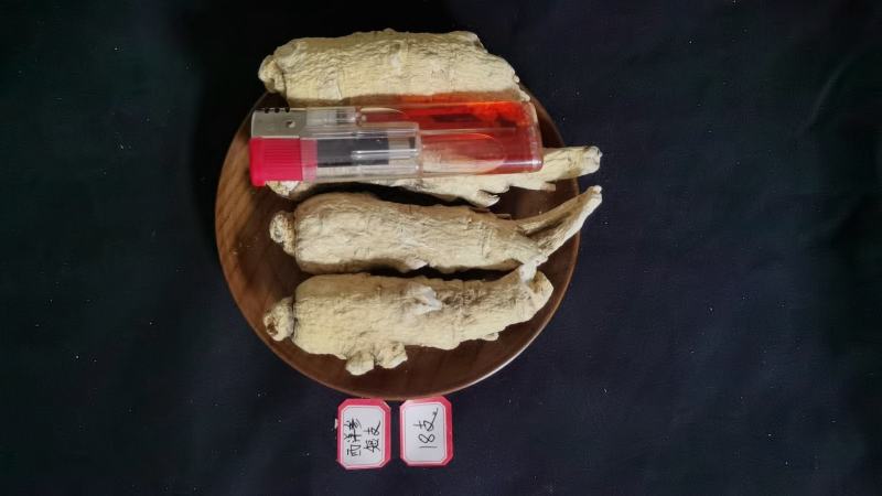 人参长白山林下西洋参6年西洋参条花旗参条泡水煲汤打粉