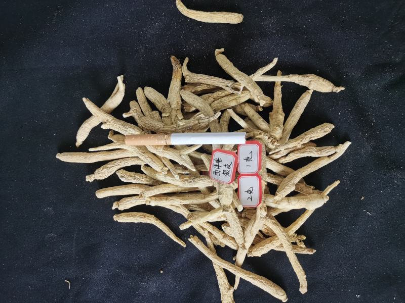 人参长白山林下西洋参6年西洋参条花旗参条泡水煲汤打粉