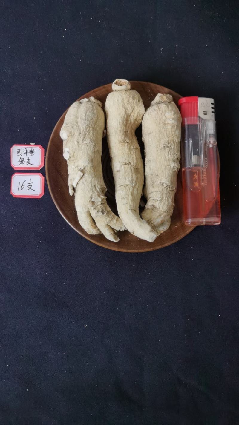 人参长白山林下西洋参6年西洋参条花旗参条泡水煲汤打粉
