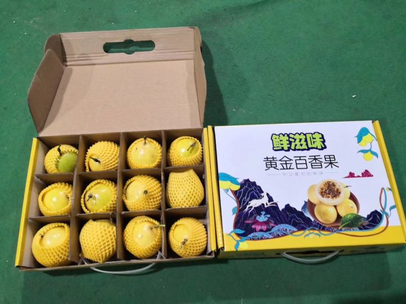 黄金百香果鸡蛋果基地直发