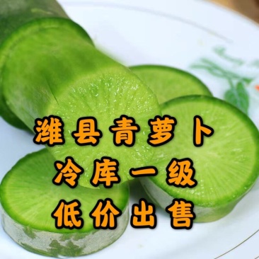 现拔，便宜卖水果萝卜潍县萝卜青萝卜大量供应中欲购从速
