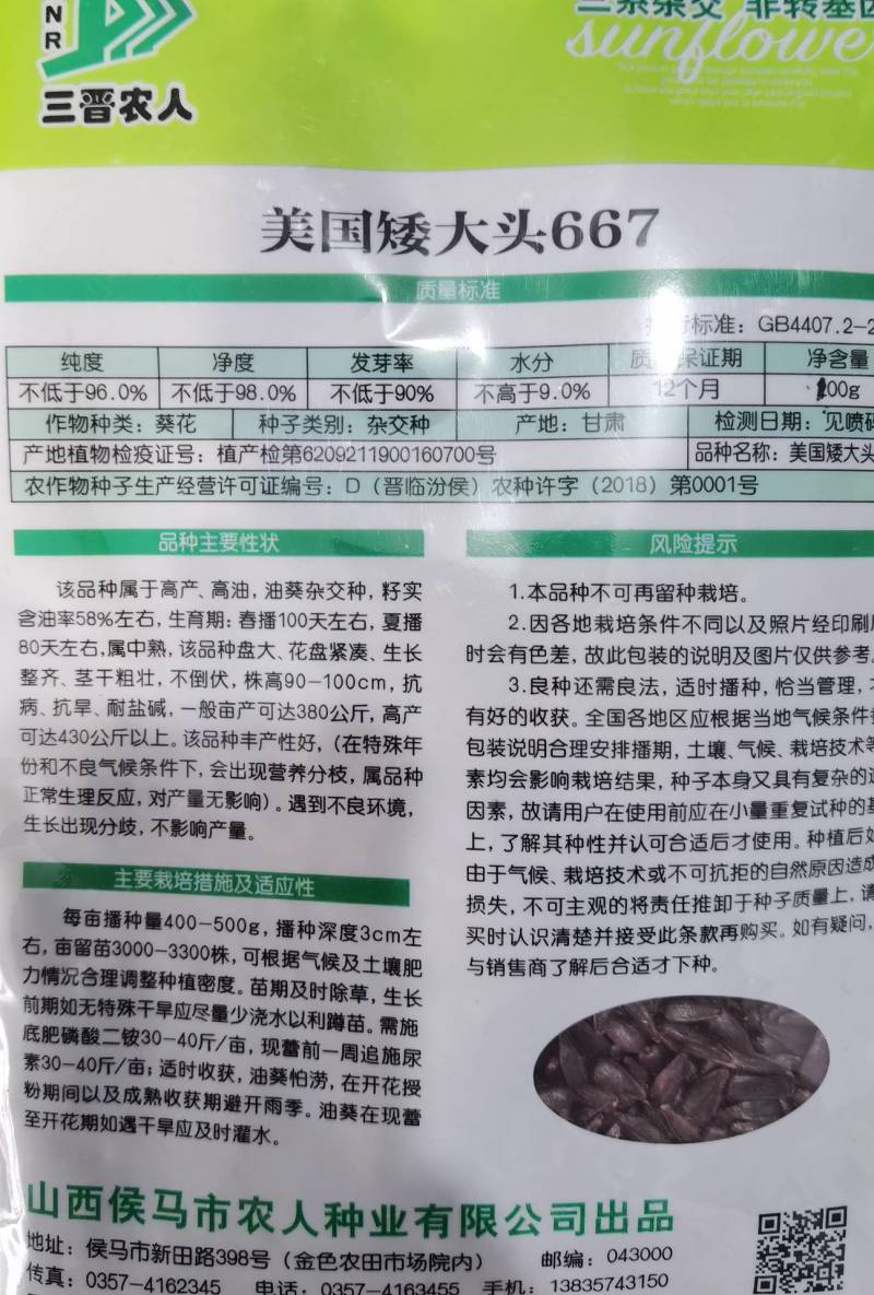 美国矮大头油葵种子矮杆大盘高油榨油食用葵花籽油葵种子