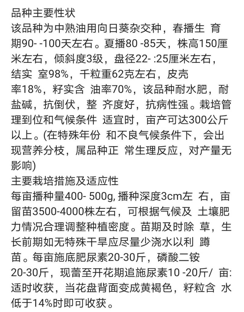SH606油葵种子特高产高颗抗倒伏皮薄榨油用油葵种子