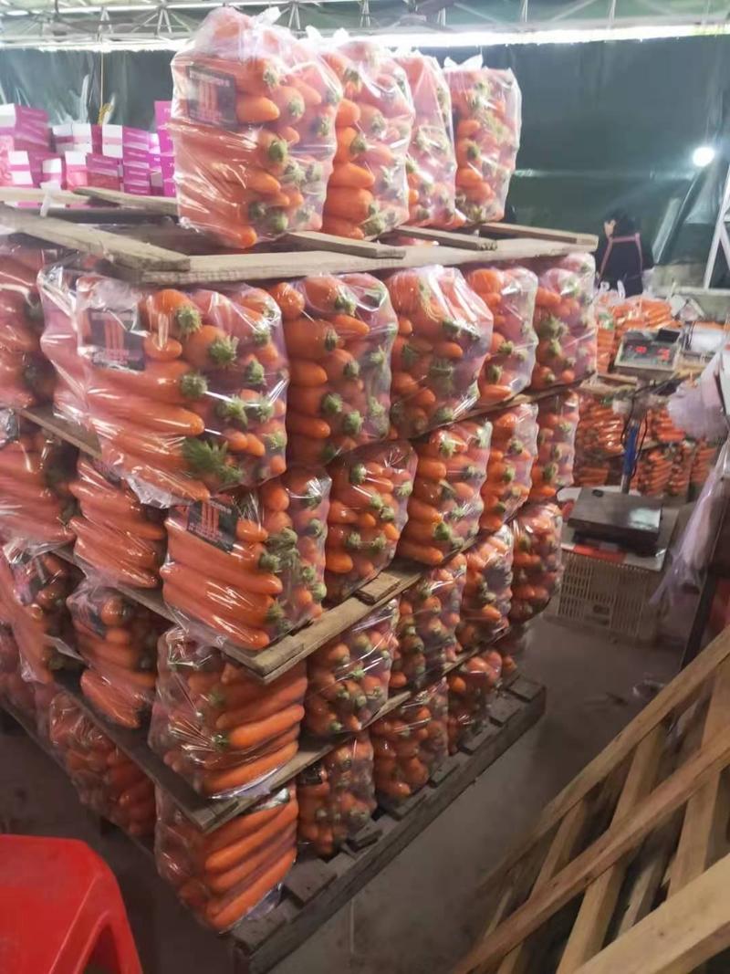 胡萝卜大量供应胡萝卜欢迎采购