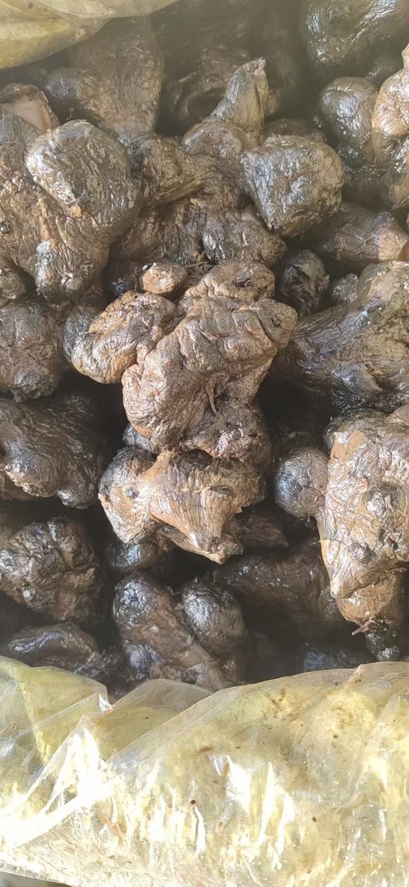 黑洋姜风干洋姜腌制洋姜晒黑洋姜