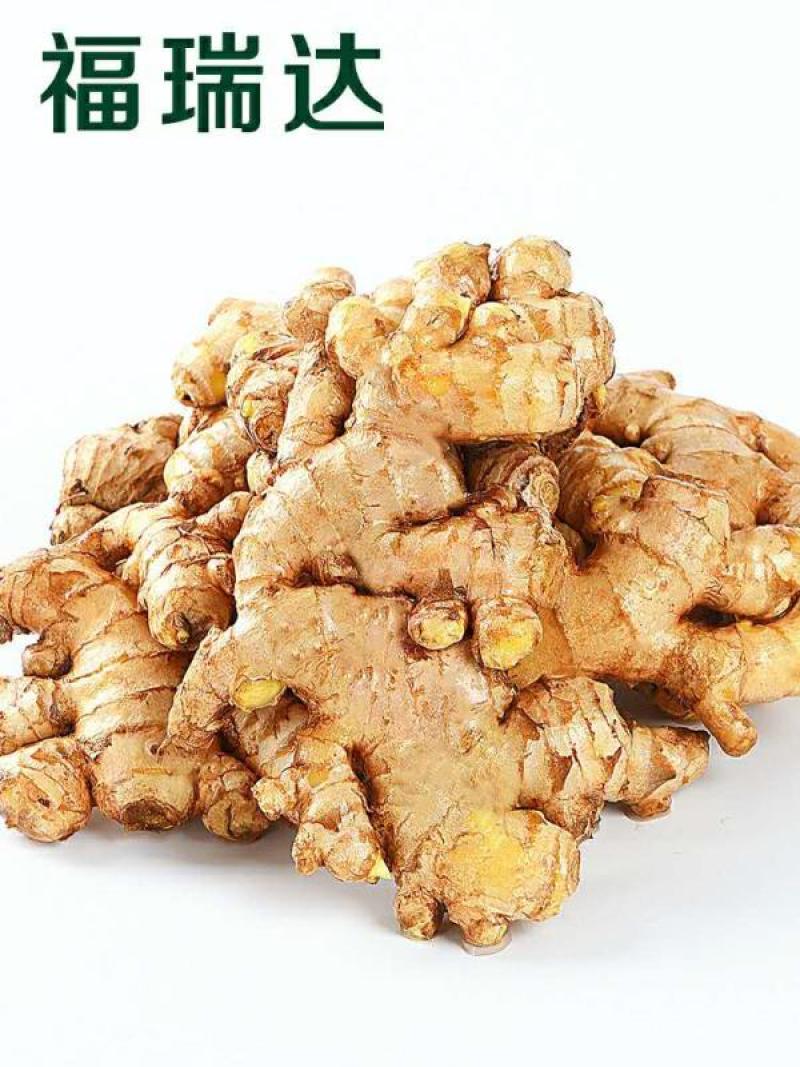 云南省文山州农户自产生姜泥姜老姜鲜姜水洗姜干库姜一手货源