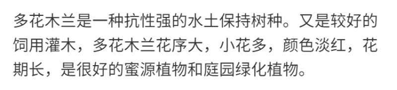 多花木兰种子多花木蓝种籽优良饲用灌木蜜源植物是优良的豆科