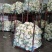 菜花花菜散花白面青梗市场货电商货多多买菜美团