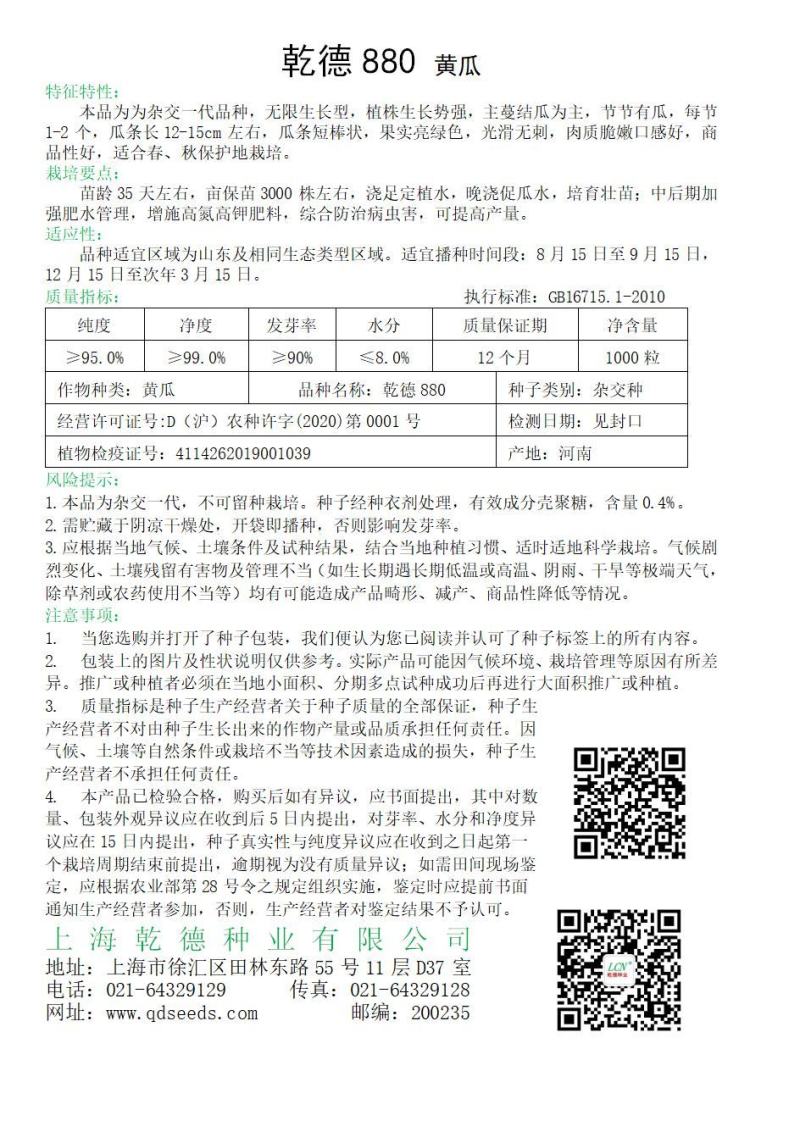 无刺油亮水果黄瓜种子乾德880水果黄瓜种子