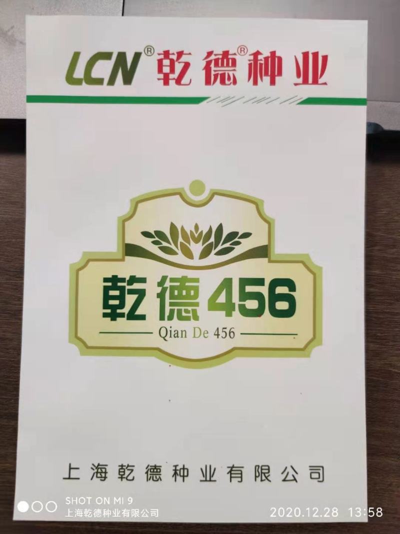 强雌油亮密刺黄瓜种子乾德456把短条直深绿无腊粉