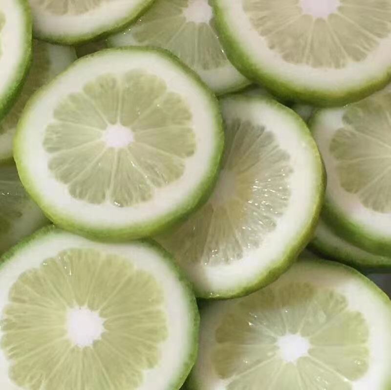 柠檬苗香水柠檬苗，无籽柠檬苗，基地发货，欢迎来电咨询