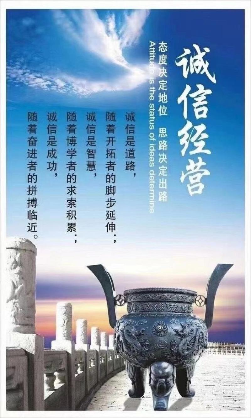 魔芋种子，一代二代魔芋种子，免费技术，上门回收