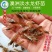 【现苗供应】澳洲淡水小龙虾苗澳洲淡水龙虾苗淡水养殖