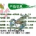 【现苗供应】澳洲淡水小龙虾苗澳洲淡水龙虾苗淡水养殖
