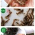 【现苗供应】澳洲淡水小龙虾苗澳洲淡水龙虾苗淡水养殖
