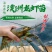 【现苗供应】澳洲淡水小龙虾苗澳洲淡水龙虾苗淡水养殖