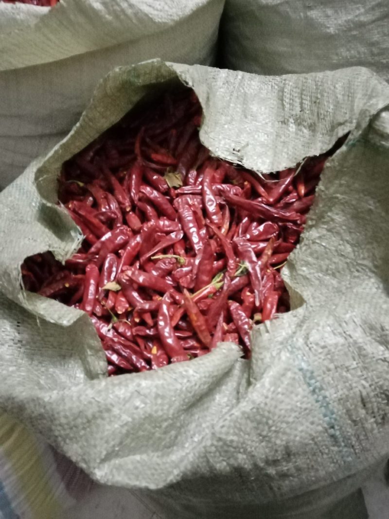 精品三樱椒批发，品质好，产地直供，欢迎采购，可视频看货