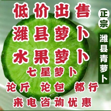 天星02青萝卜,水果萝卜,冰激淋萝卜,一件代发,产地批发