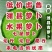 天星02青萝卜,水果萝卜,冰激淋萝卜,一件代发,产地批发