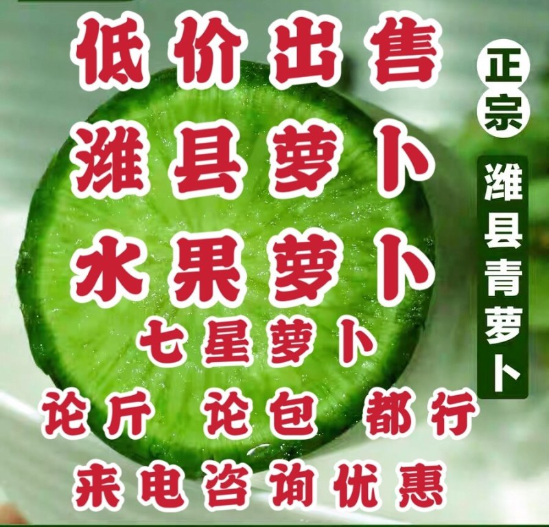 天星02青萝卜，水果萝卜，冰激淋萝卜，一件代发，产地批发