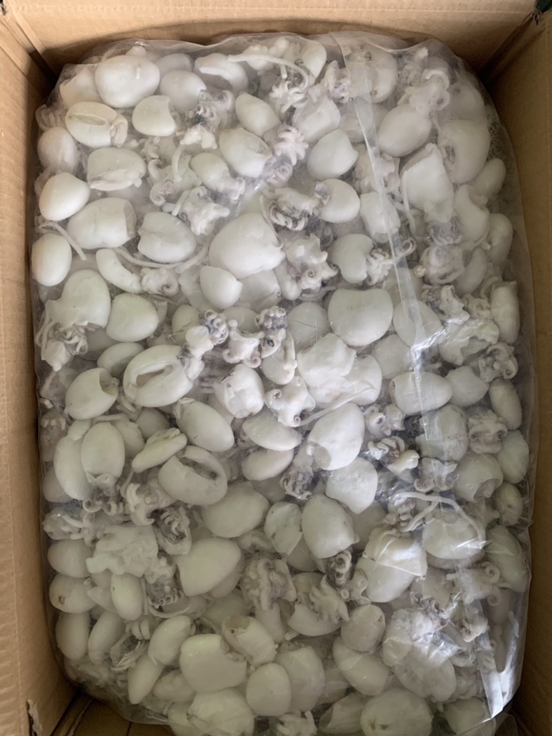 北海厂家一手墨鱼仔，单冻次品墨鱼仔，价格很有优势。