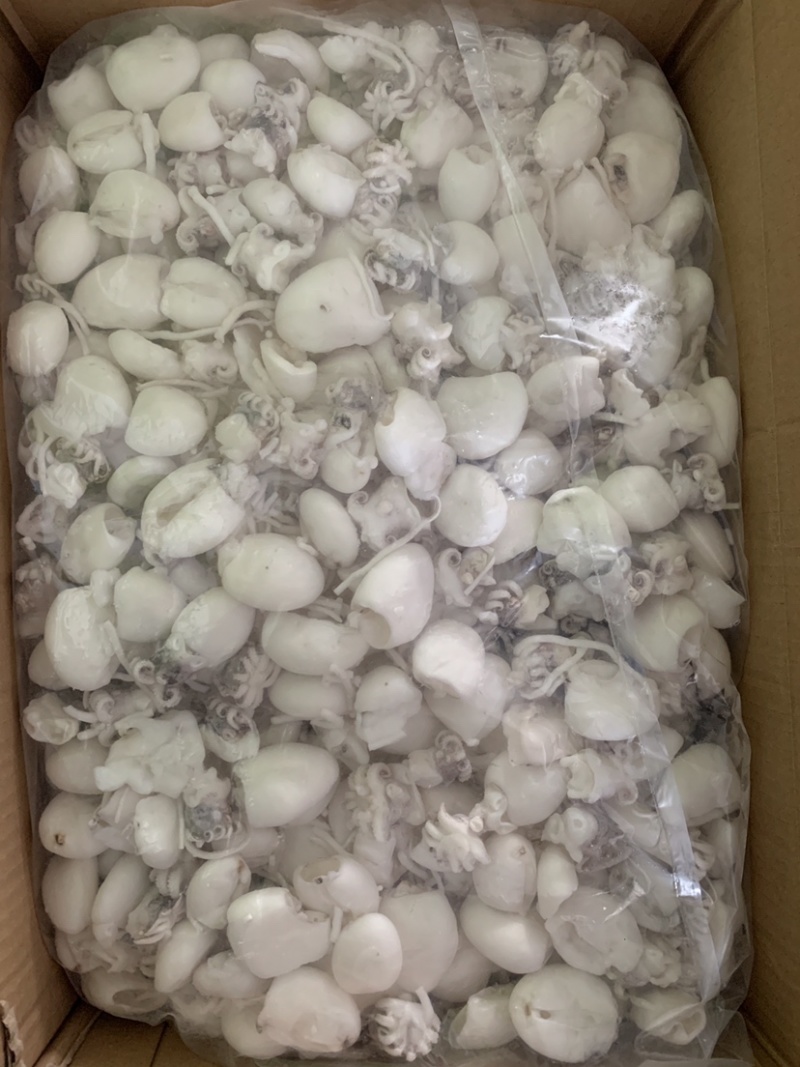 北海厂家一手墨鱼仔，单冻次品墨鱼仔，价格很有优势。