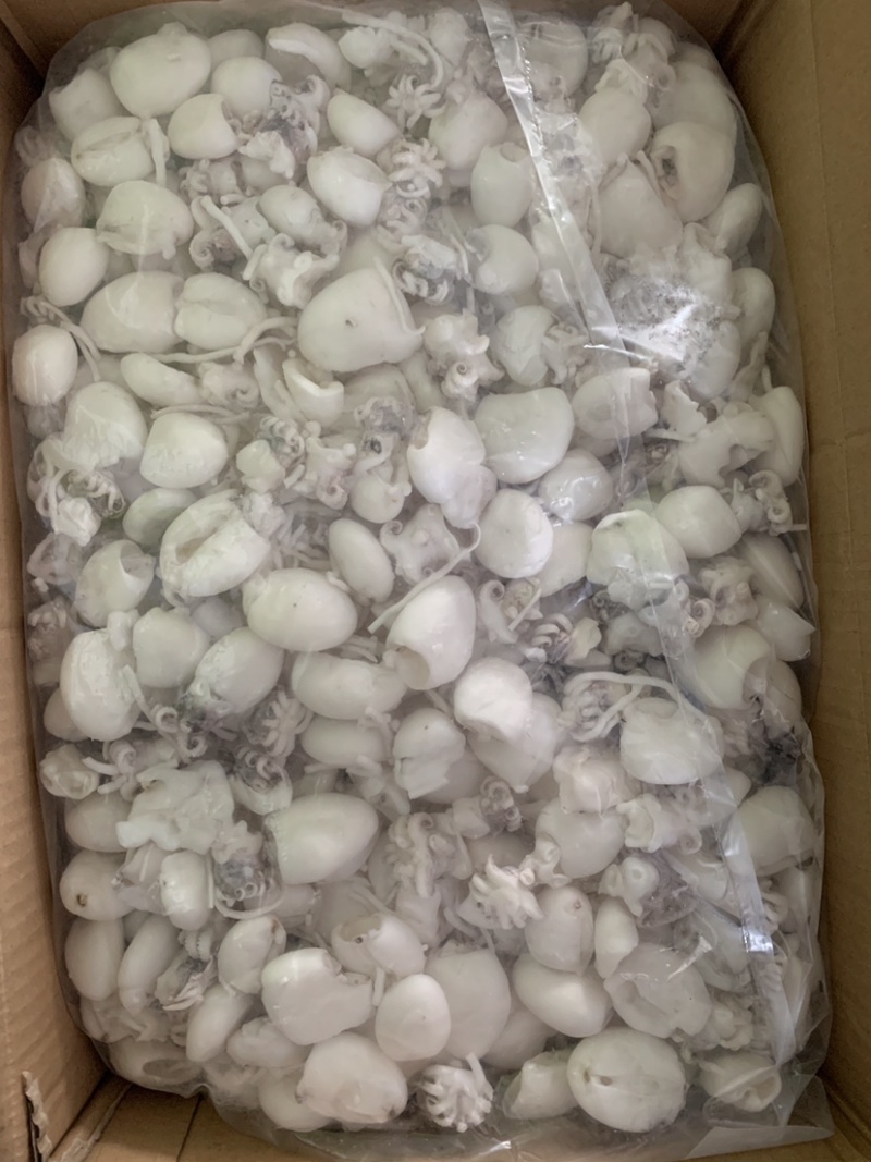 北海厂家一手墨鱼仔，单冻次品墨鱼仔，价格很有优势。
