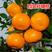 橘子苗（砂糖橘，沃柑橘苗，无核砂糖橘）南北适种