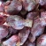 【酱牛肉】牛腱子肉，五香牛腱子，全熟