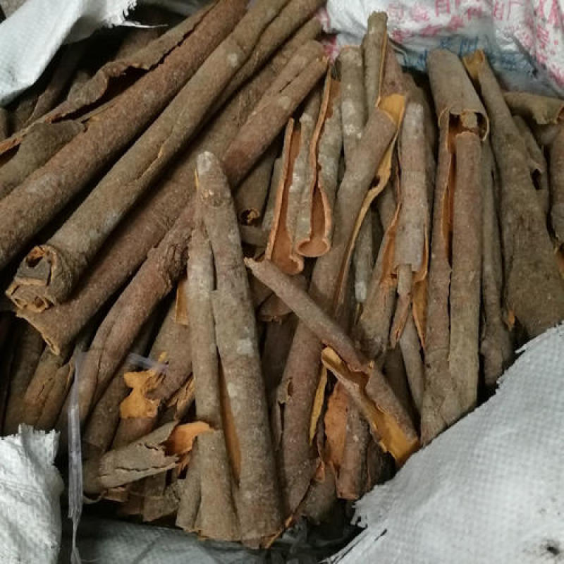 普通桂皮自家外观美肉质厚肉质好