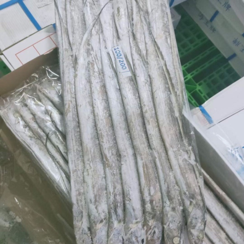 带鱼质量好，价格低，手续齐全，大量批发对接全国市场发货