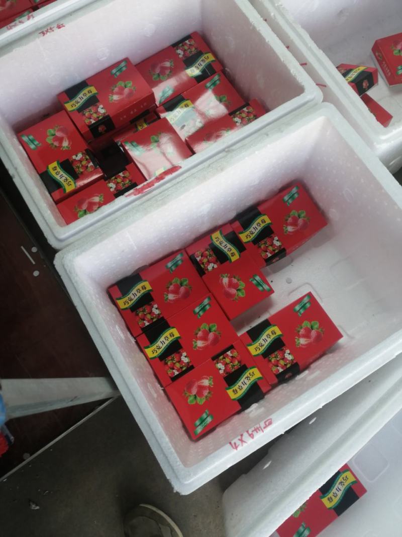 大量批发供应冬草莓黔莓一号产地代办一件代发！