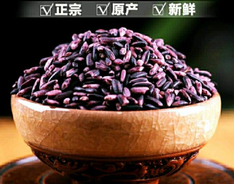 农家紫糯米血糯米原汁原味营养美味爽口5斤1件包邮