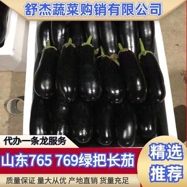 【长茄】山东精品765绿把长茄保质保量产地直供