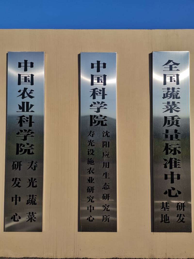 【店家推荐】贝贝南瓜种子（韩育+日系）杂交品潍坊昌乐