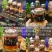 新款《长白山人参虫草酒》一箱12瓶一瓶3两厂家批发包邮