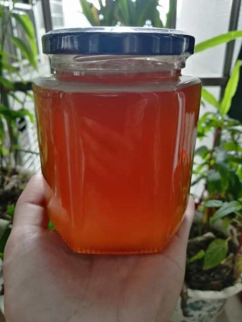 农家蜂蜜正宗野生土蜂蜜土蜂蜜罐装野生土蜂蜜