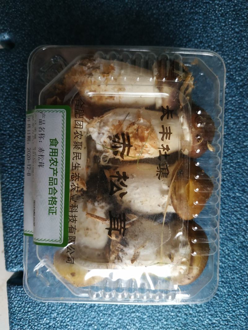 菌菇礼盒，新鲜食用菌组合，松茸，金耳，鸡枞，秀珍菇