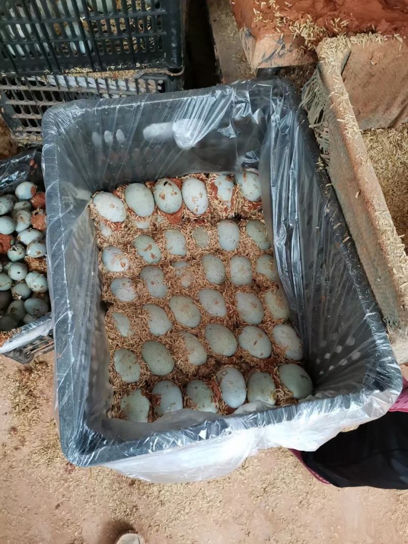 松花蛋口感好不麻口。赶集专用厂家直发欢迎电商合作量大优惠