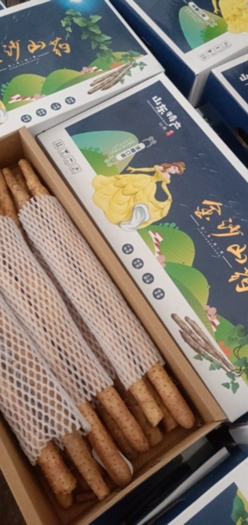 山东特产【金沙山药】新鲜当季口感甜糯对接电商团购档口