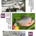 【大量供应】淡水白鲳鱼苗红鲳鱼苗鲳鱼苗淡水养殖