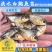 【淡水养殖】淡水白鲳鱼苗红白鲳鱼苗周期短效益大