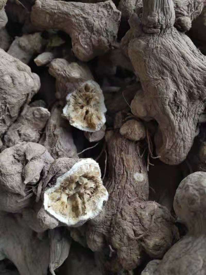 白术片，选装片子，质量保证，欢迎新老顾客采购，
