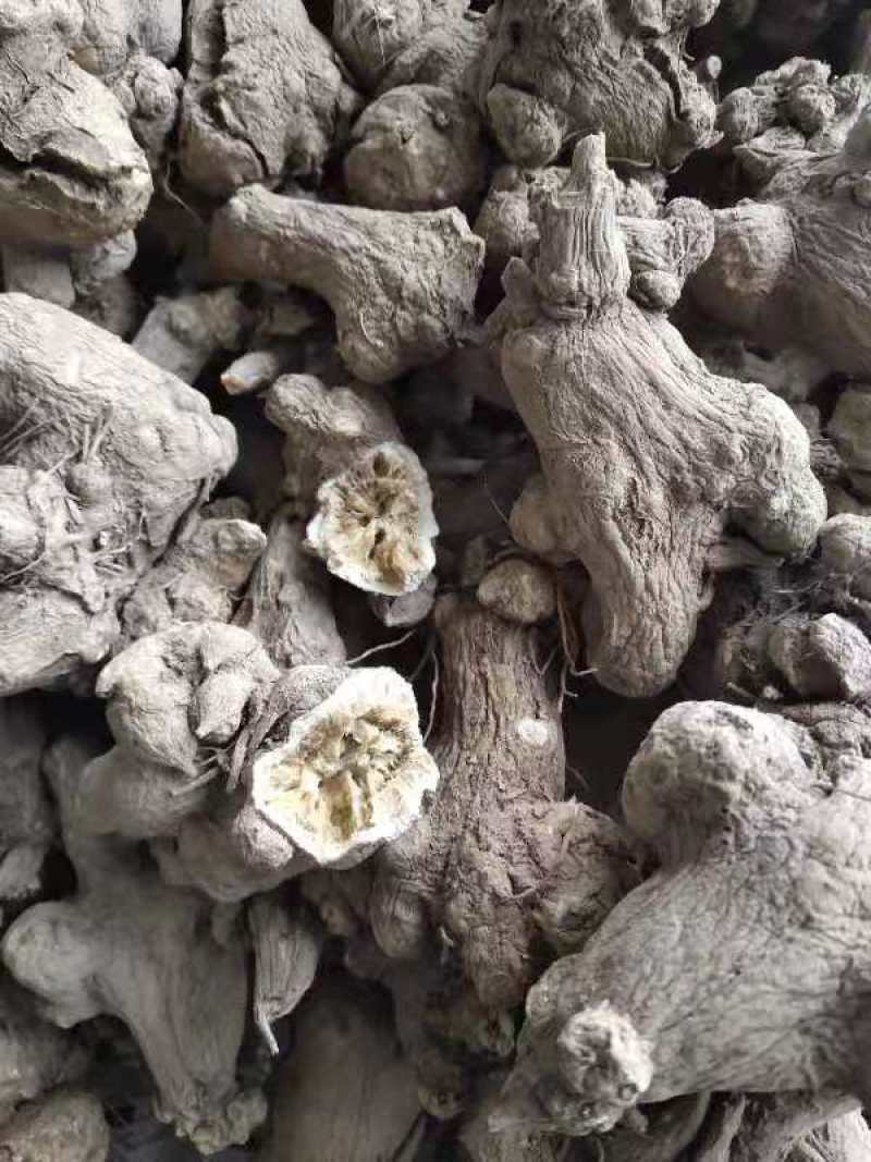 白术片，选装片子，质量保证，欢迎新老顾客采购，