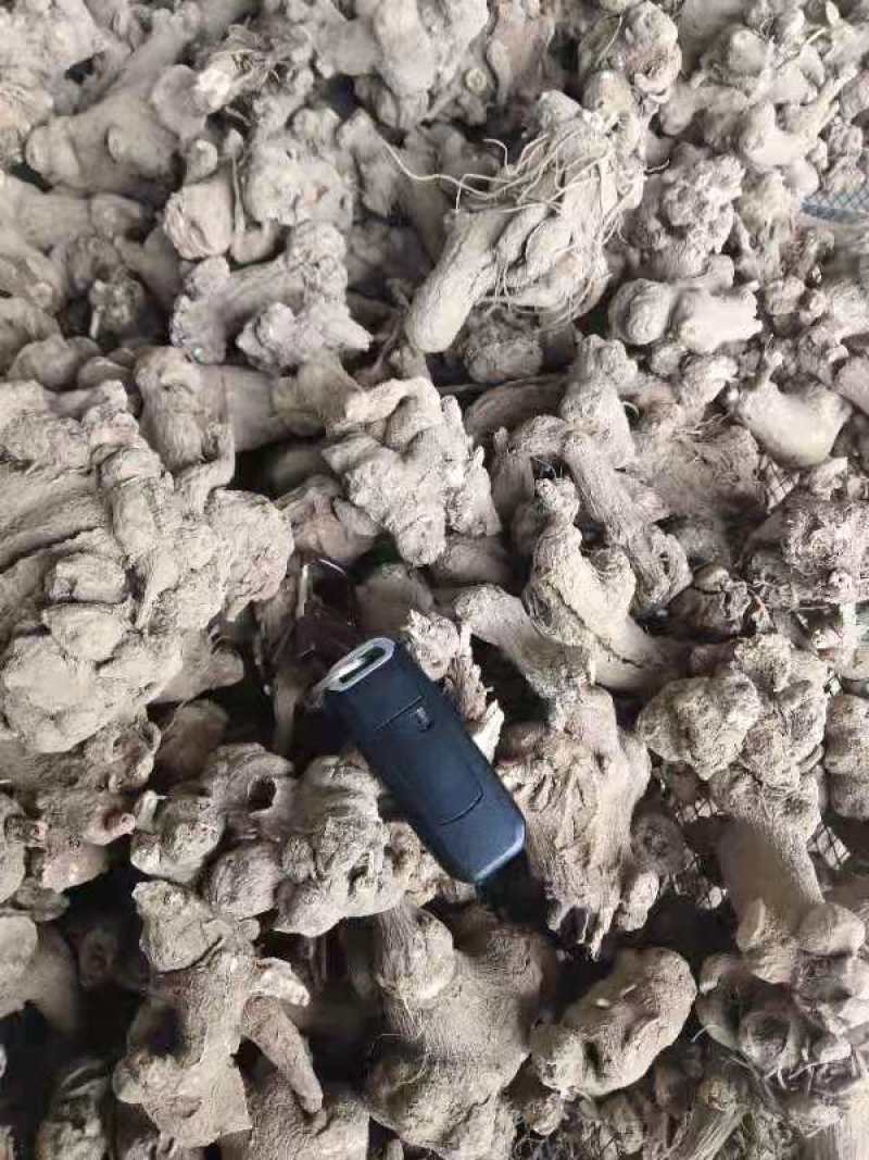 白术片，选装片子，质量保证，欢迎新老顾客采购，