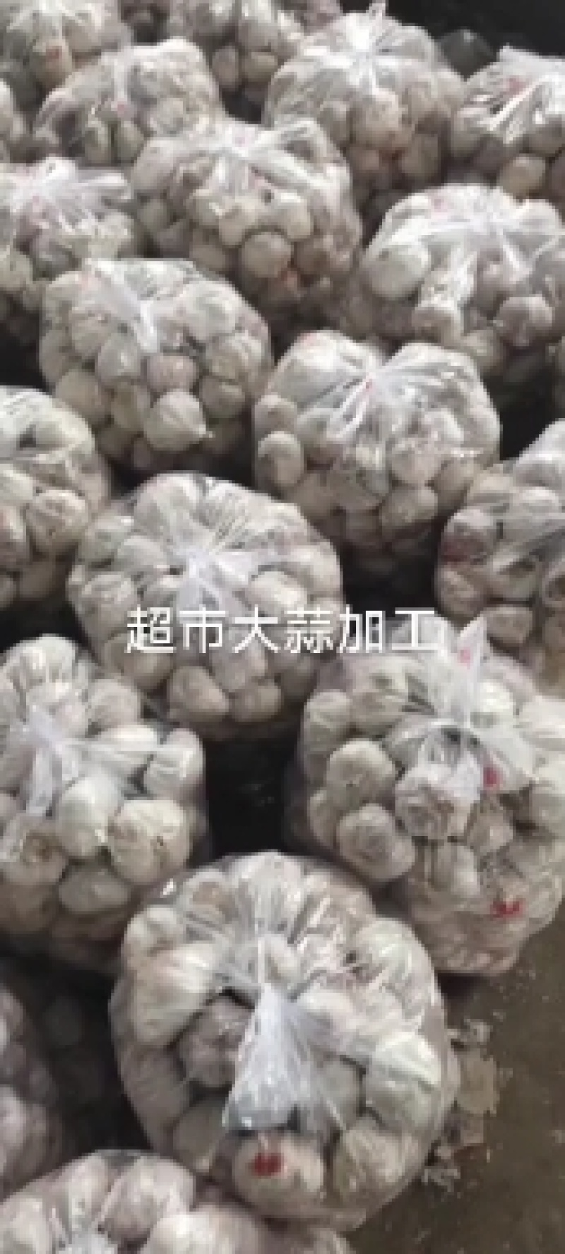 金乡红皮大蒜，质量好，价格低，代发市场，做包装，冷库储存