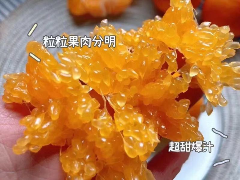 春见柑橘，耙耙柑，超甜爆汁，好吃不上火商超品质全国发货