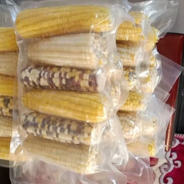 荐】甜粘玉米，品种多，口感好，价格美丽，货源充足可开发票