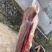 农家腊肉腊五花肉腌肉风干咸肉南风肉刀板香南风肉一件代发